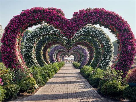 dubai miracle garden opening months 2023